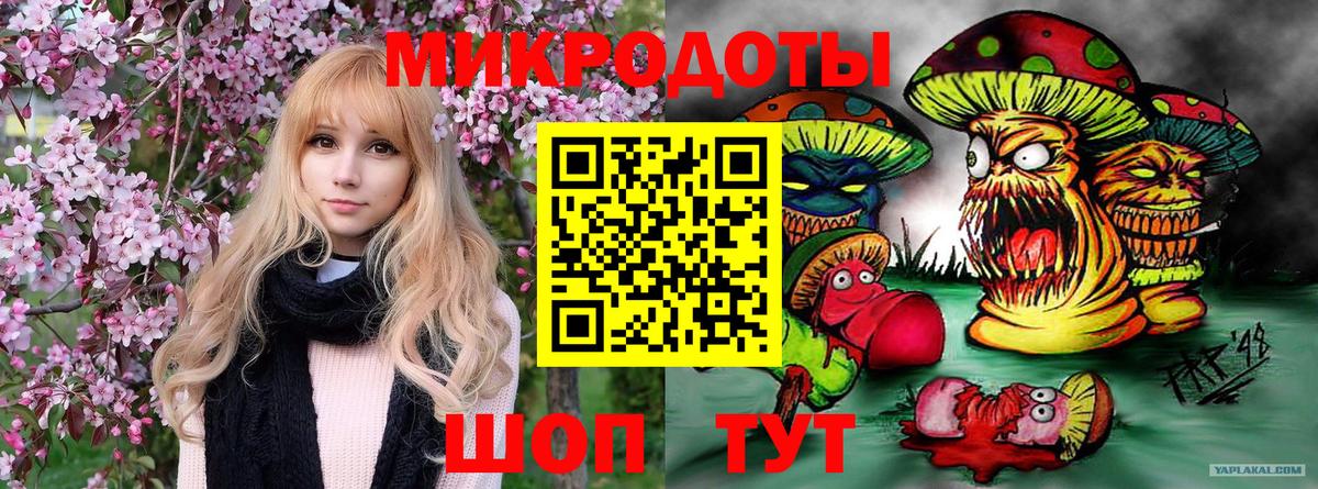 Codein Строитель