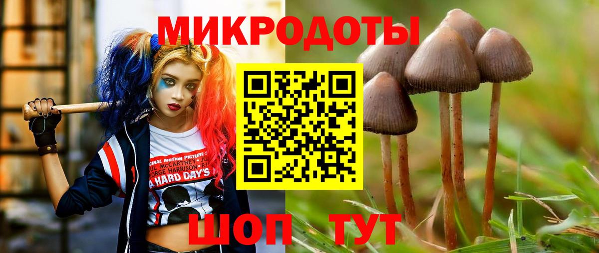 Галлюциногенные грибы Psilocybine cubensis Строитель