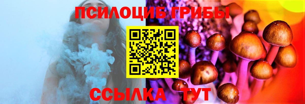 Строитель  закладки  Вход с VPN  Галлюциногенные грибы Psilocybe 